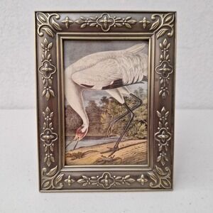 Vintage Framed John J. Audubon Whooping Crane Bird In Grass Metal/Glass Frame